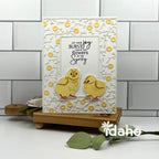 Feathered Friends Mini 20 Mini Stamp Set