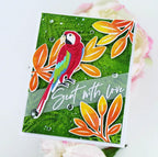 Feathered Friends Mini 24 Mini Stamp Set