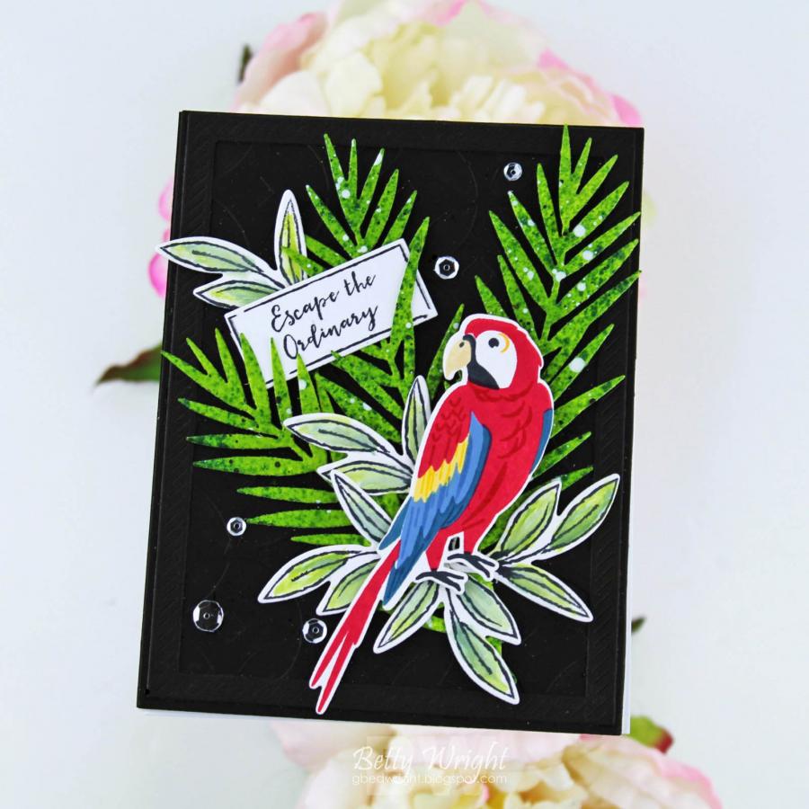 Feathered Friends Mini 24 Mini Stamp Set