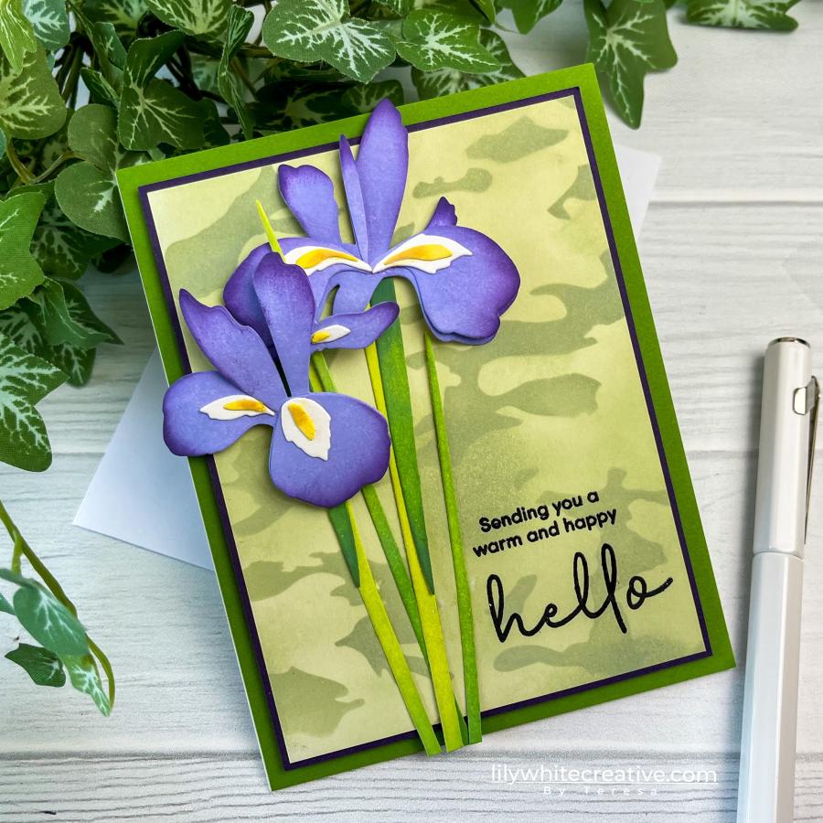 Larger than Life: Hello Sentiments Mini Stamp Set