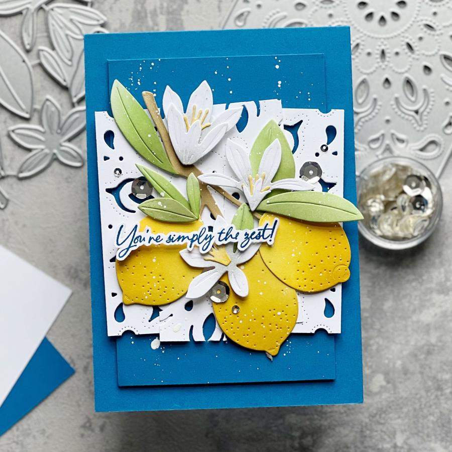 Main Squeeze Stamp Set