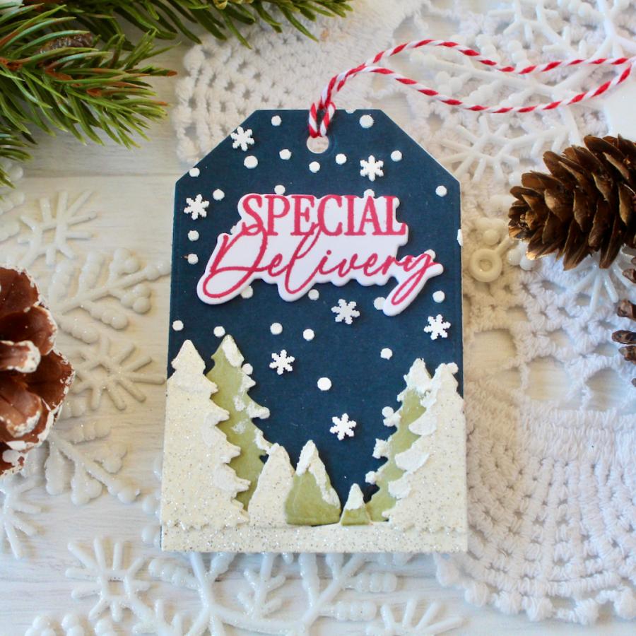 This is Big Sentiments: Christmas Tags Stamp Set