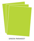 Perfect Match Green Parakeet Premium Cardstock (24 Sheets)