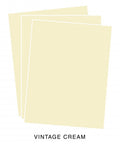 Paper Basics - Vintage Cream Premium Cardstock (12 Sheets)