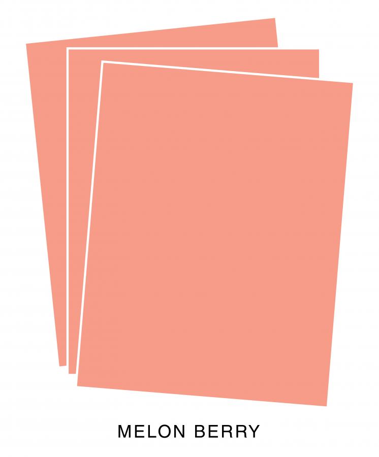Perfect Match Melon Berry Premium Cardstock (12 sheets)
