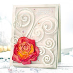 Into the Blooms: Roses Die