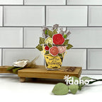 Vase Collection 7 Die