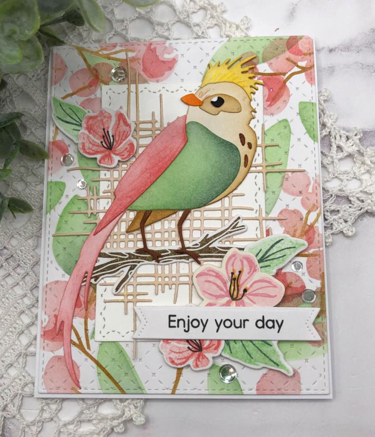 Feathered Friends 22 Die