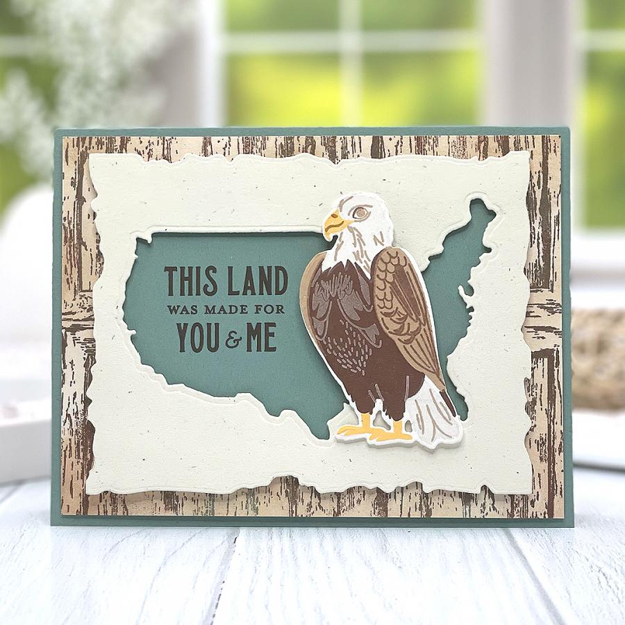 United States of America Die