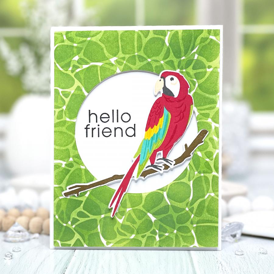 Feathered Friends Mini 24 Die