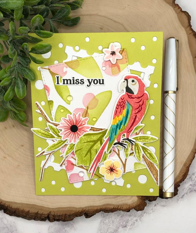 Feathered Friends Mini 24 Die