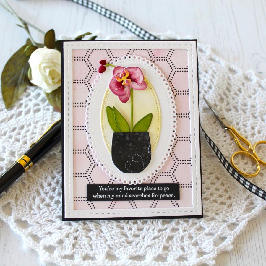 Into the Blooms: Orchids Die