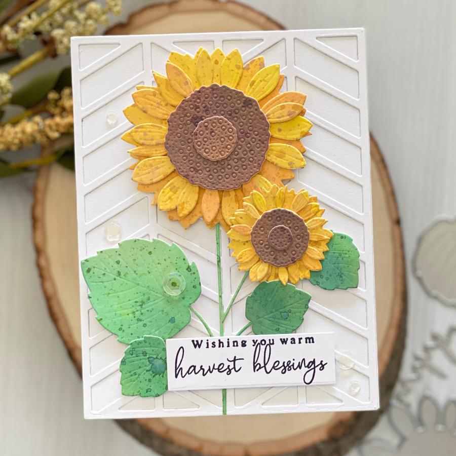 Into the Blooms: Sunflowers Die