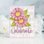 This is Big Sentiments: Celebrate Die