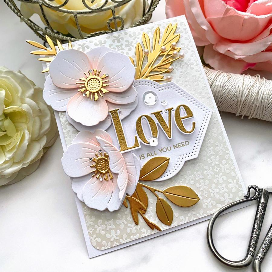 This is Big Sentiments: Love Die