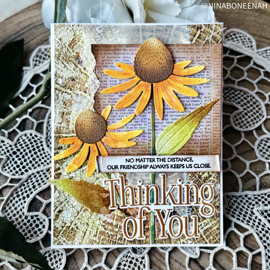 Into the Blooms: Coneflowers Die