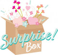 July 2023 Surprise Box