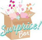 July 2023 Surprise Box