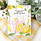 Life's Lemons Stencil Collection (set of 6)