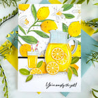 Life's Lemons Stencil Collection (set of 6)