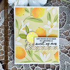 Life's Lemons Stencil Collection (set of 6)