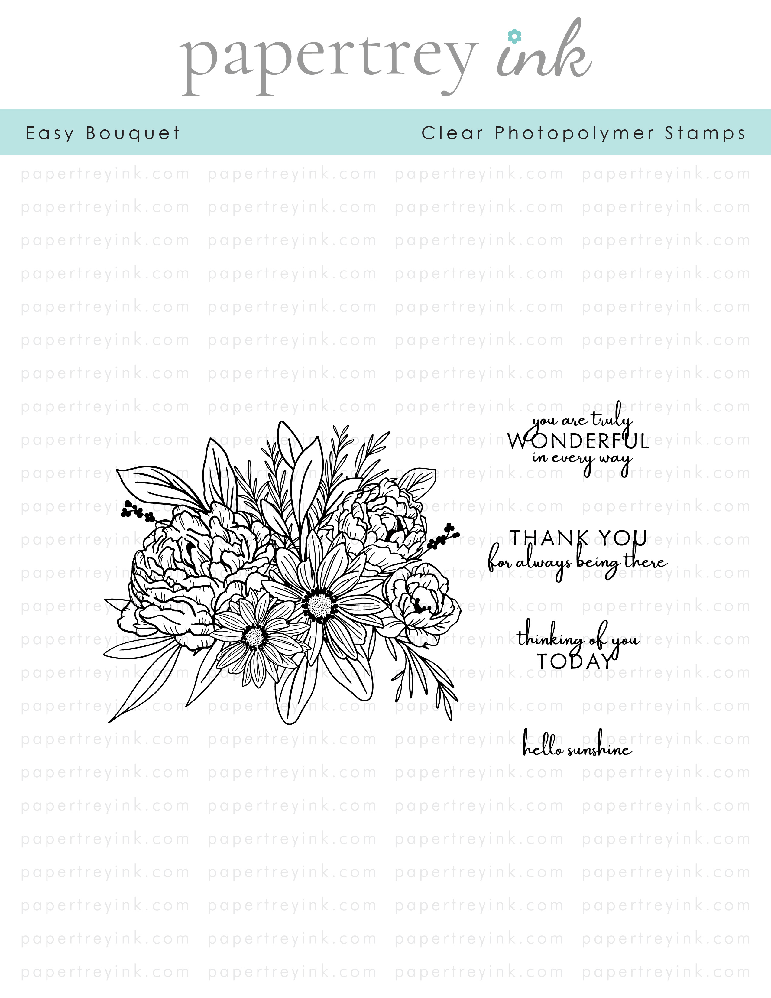 Papertrey Ink - Clear Photopolymer Stamps - Birthday Your Way