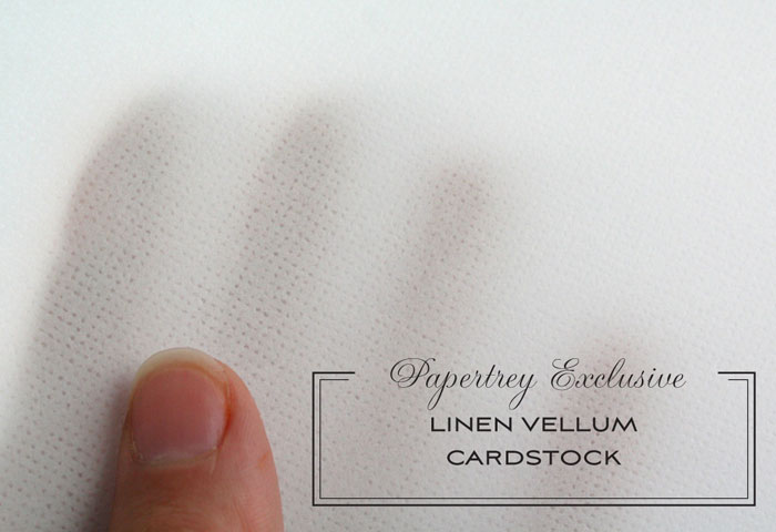 Papertrey Ink Fine Linen Cardstock – The Foiled Fox