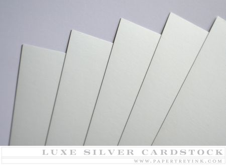 Cardstock in Paper  Silver 