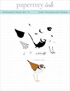 Feathered Friends Mini 12 Mini Stamp Set