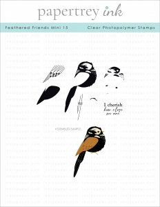 Feathered Friends Mini 15 Mini Stamp Set