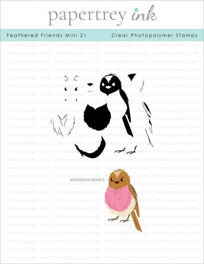 Feathered Friends Mini 21 Mini Stamp Set