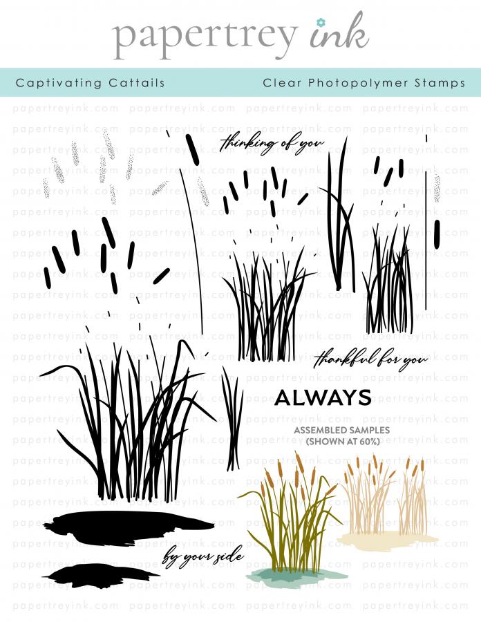 Captivating Cattails Stamp Set