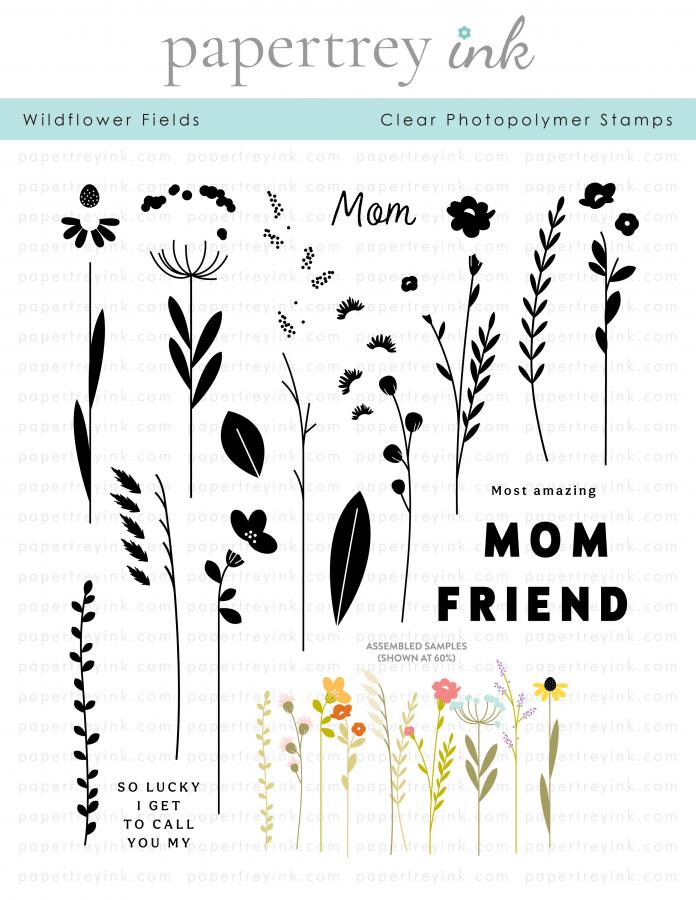 Wildflower Fields Stamp Set