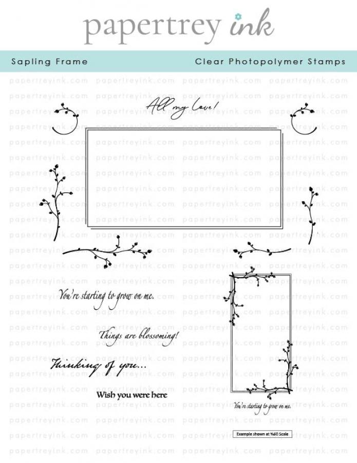 Sapling Frame Stamp Set