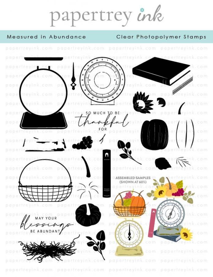 Measured in Abundance Stamp Set