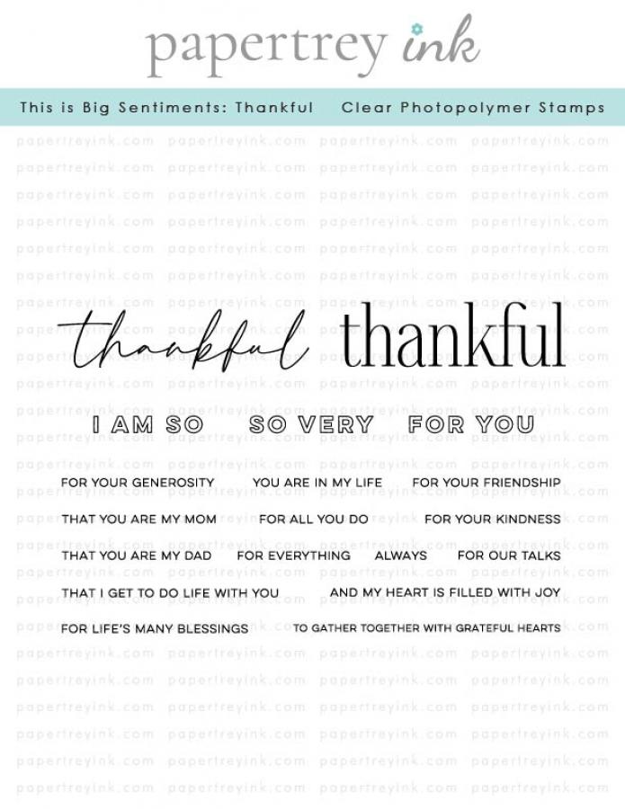 This is Big Sentiments: Thankful Stamp Set