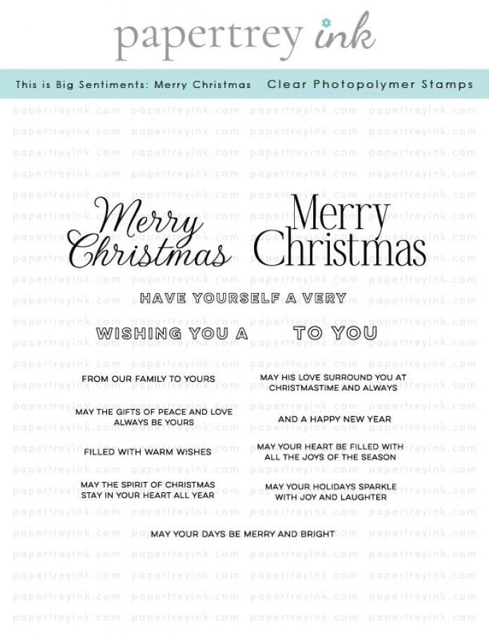 This is Big Sentiments: Merry Christmas Stamp Set