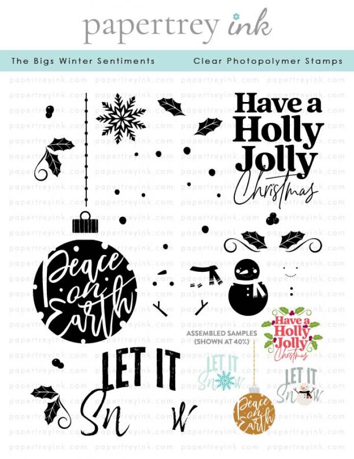 The Bigs Winter Sentiments Stamp Set