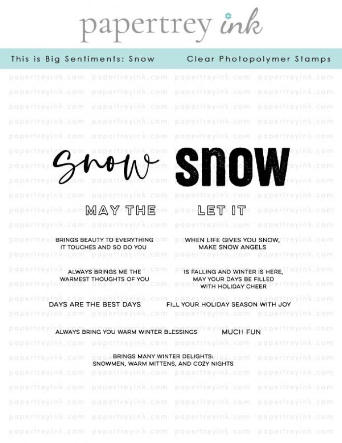 This is Big Sentiments: Snow Stamp Set