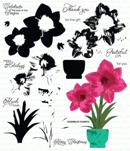 Blooming Amaryllis Stamp Set