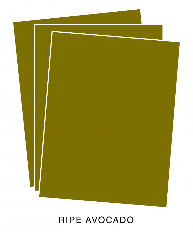 Perfect Match Ripe Avocado Cardstock (24 Sheets)