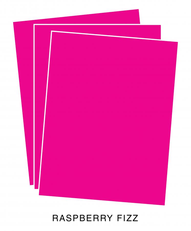 Perfect Match Raspberry Fizz Cardstock (24 sheets)