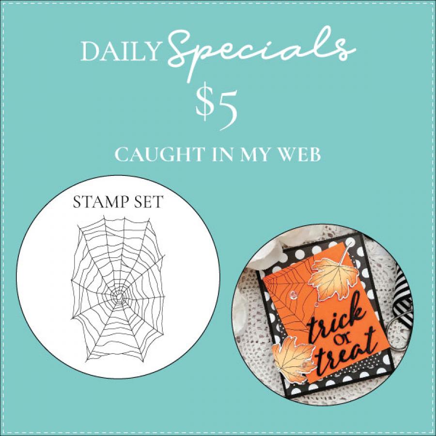 Daily Special - Caught in My Web Stamp Set