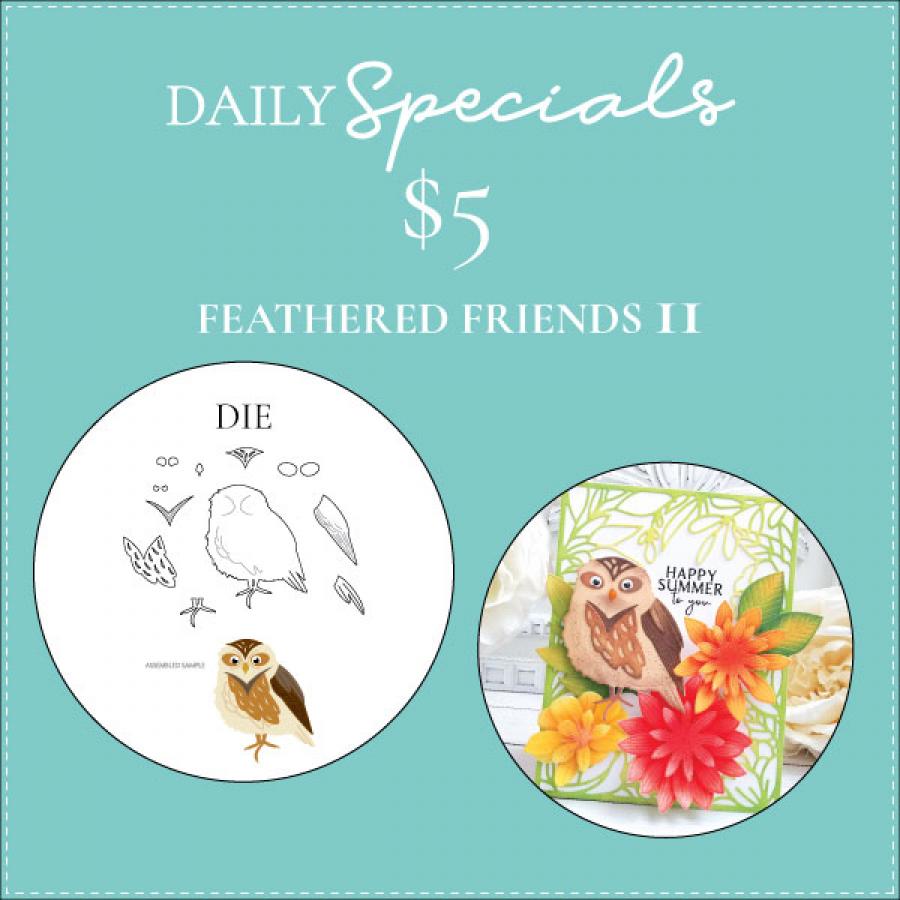 Daily Special - Feathered Friends 11 Die