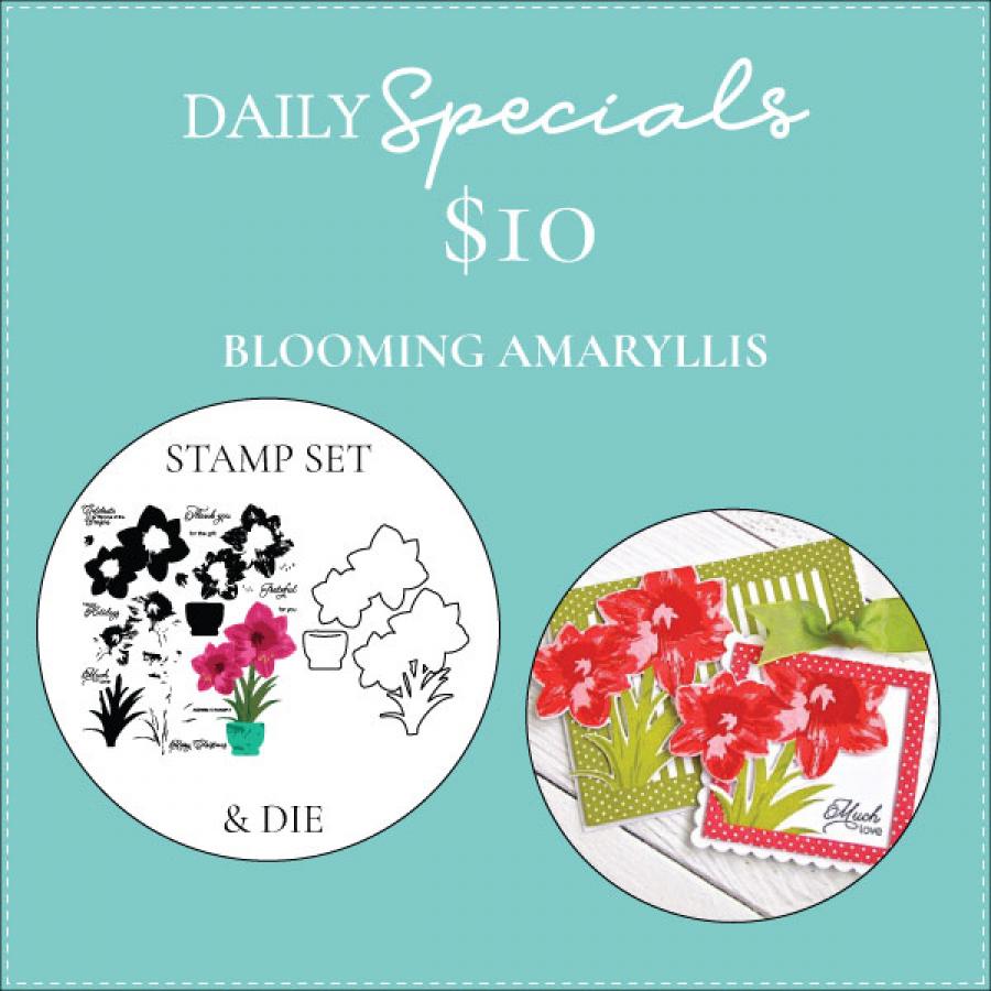 Daily Special - Blooming Amaryllis Stamp Set + Die