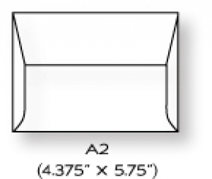 Paper Basics - White Envelopes (40)