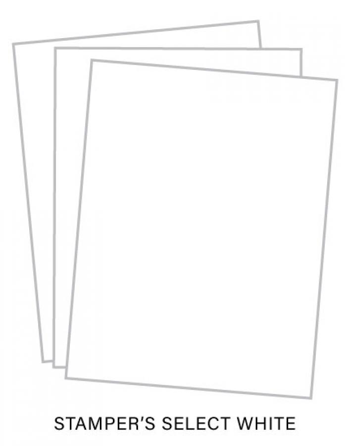 Stamper's Select White Cardstock For Card Making & Paper Crafting 