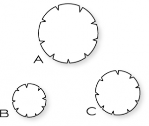 Papertrey Ink - Notched Flowers Die Collection (set of 3)