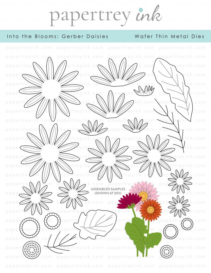 Into the Blooms: Gerber Daisies Die