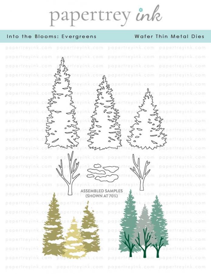 Into the Blooms: Evergreens Die